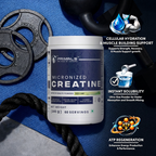 Fizzy Lime Micronized Creatine Monohydrate Powder 240GM